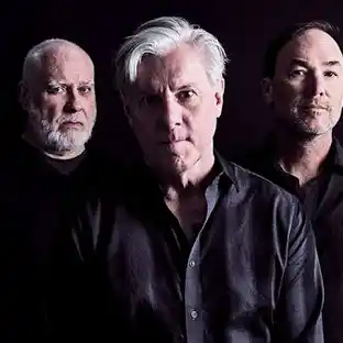 Toadies