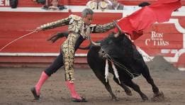 Matador