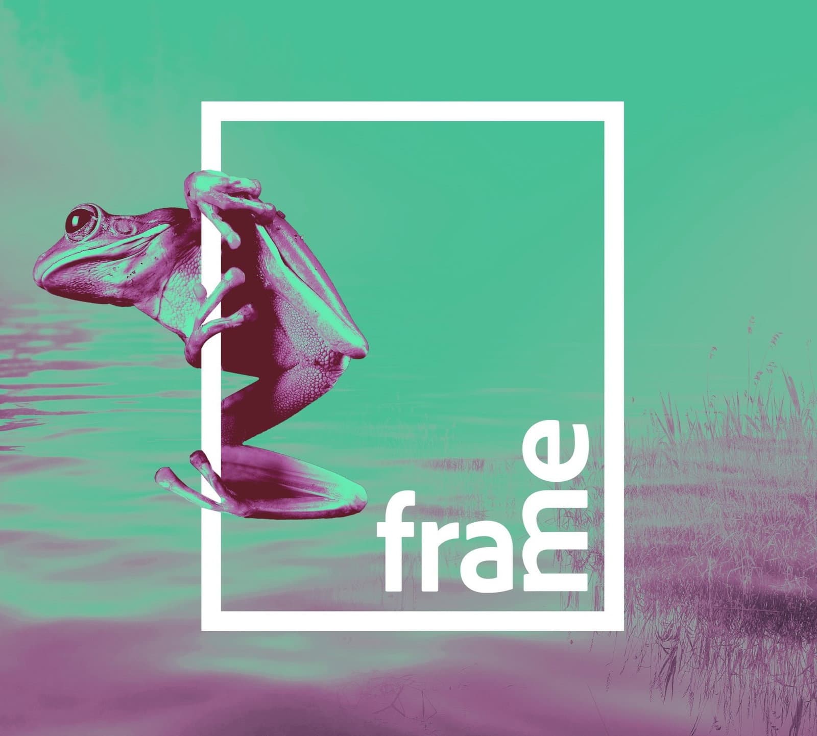 Blubberwasser Gang X Frame