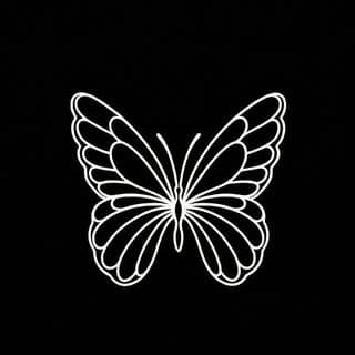 Butterflies Events