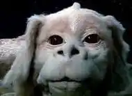 Falkor