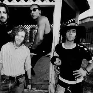 Spin Doctors