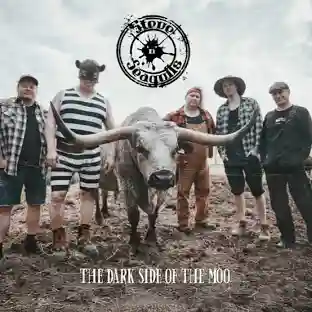Steve'n'Seagulls
