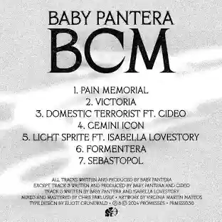 Baby Pantera