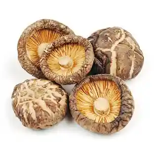 Shitake