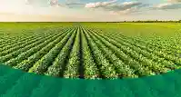 Agriculture