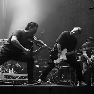 Yellowcard