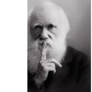 Darwinyy