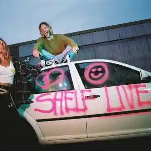 Shelf Lives