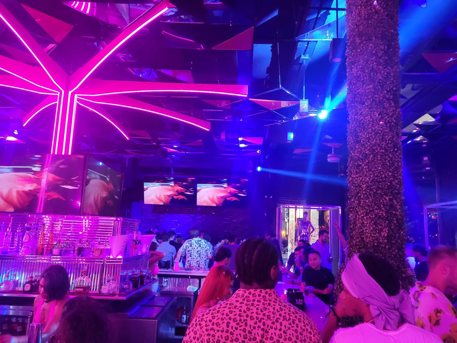Electric 23 Wynwood photo 5