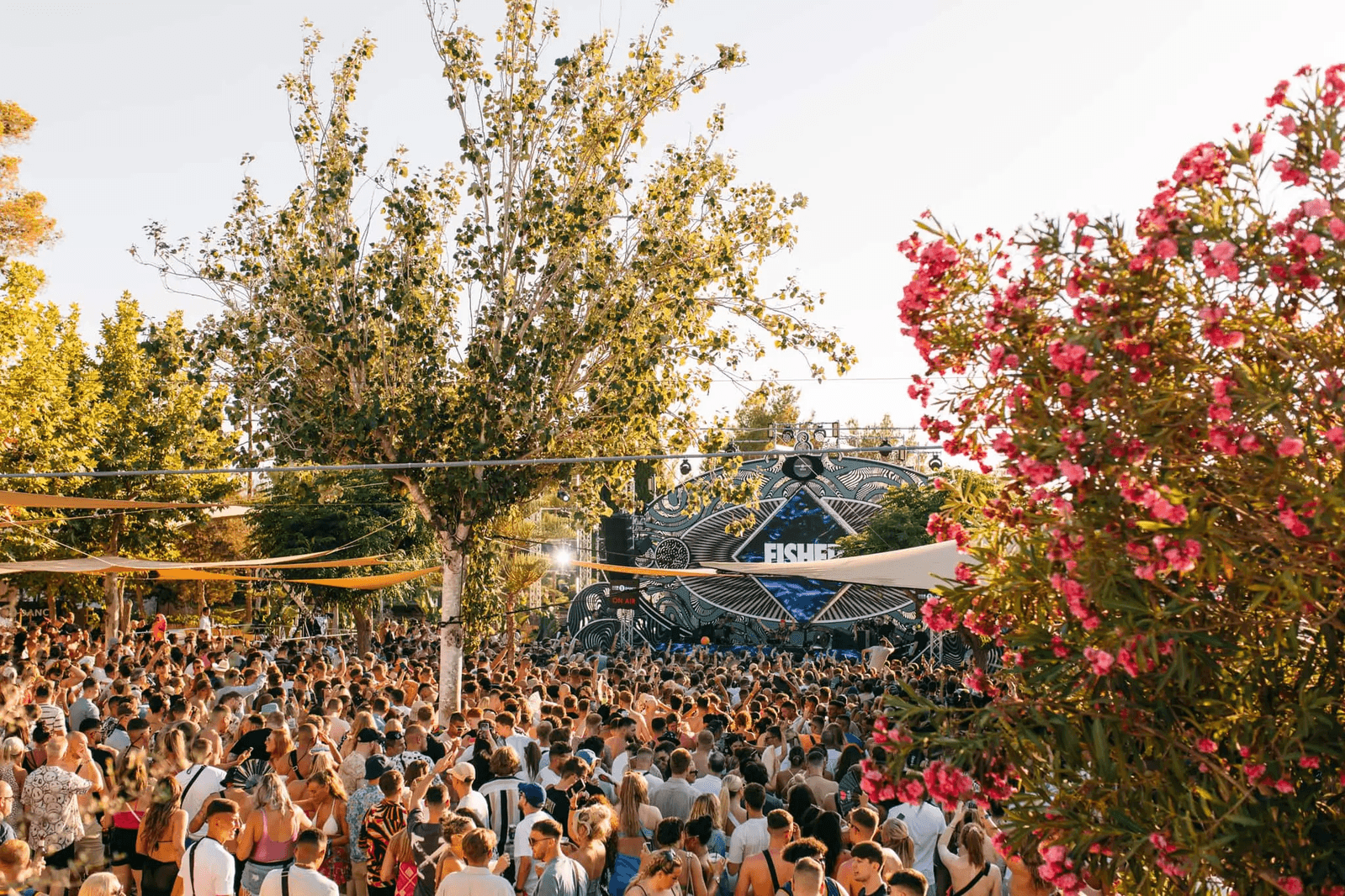 528 Ibiza photo 5