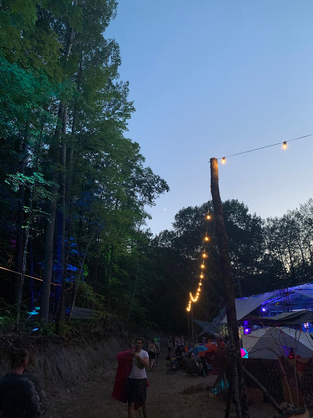 Groove & Bass Festival photo 4