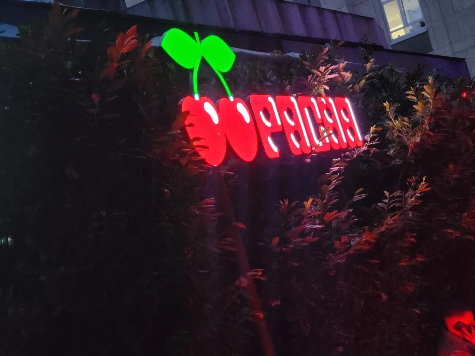 Pacha photo 1