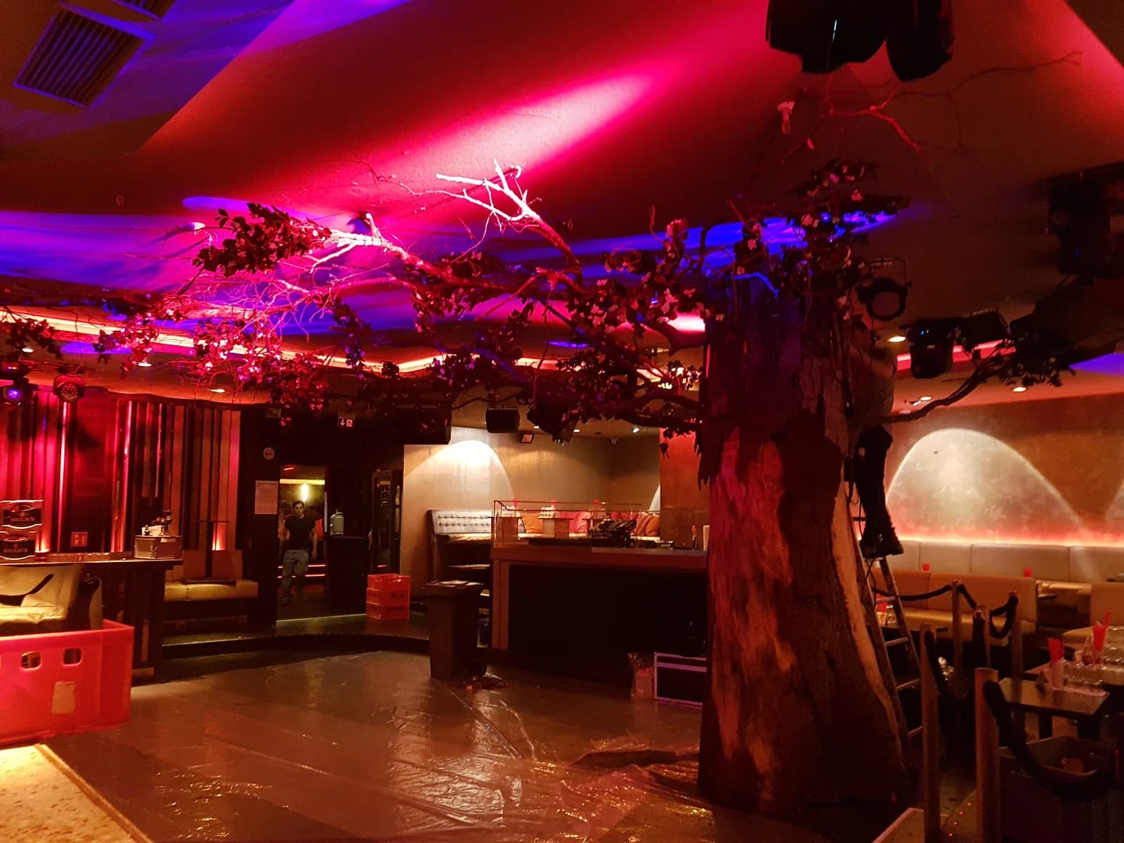Pacha photo 3
