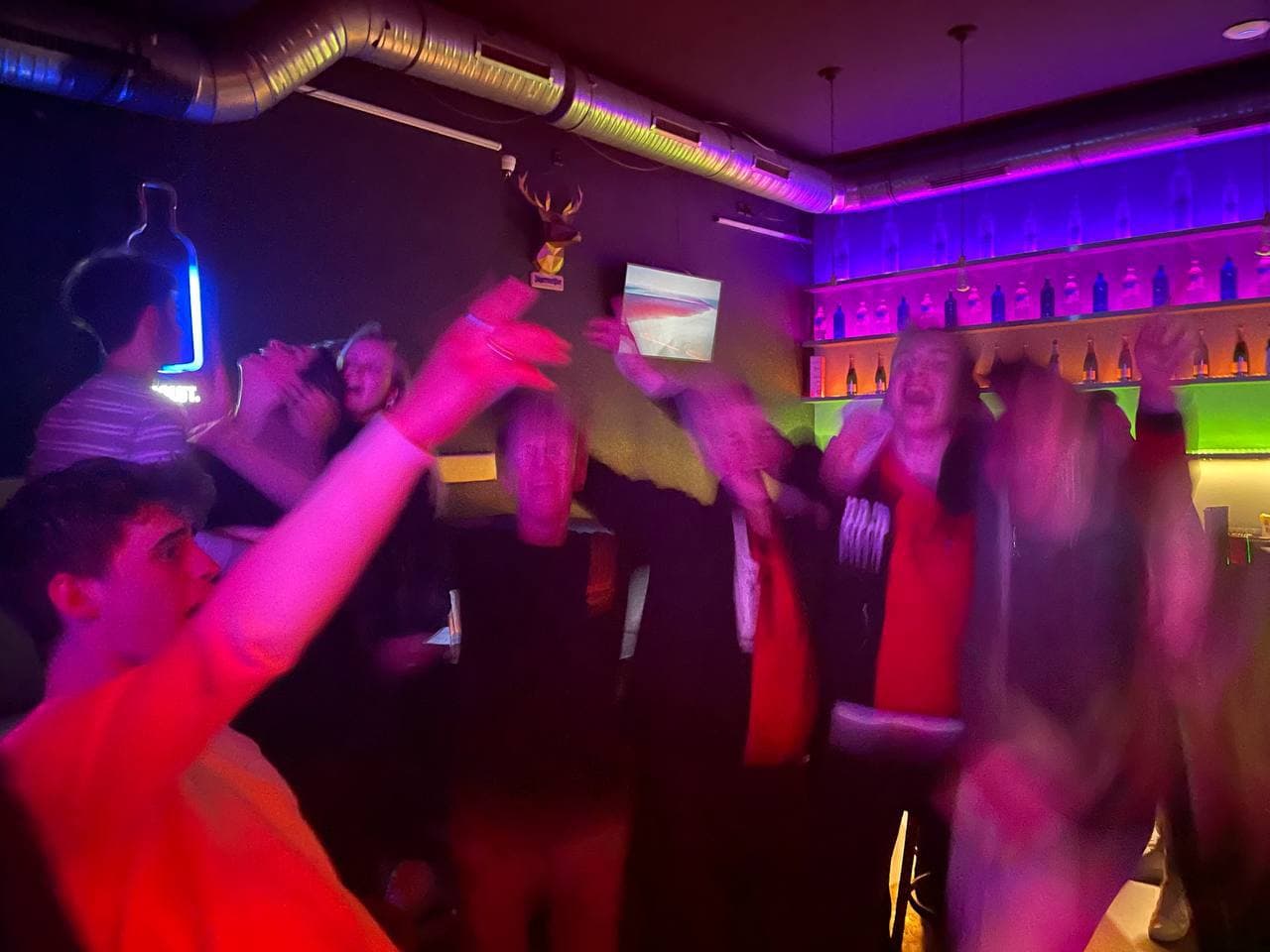 Colibri-Club photo 5