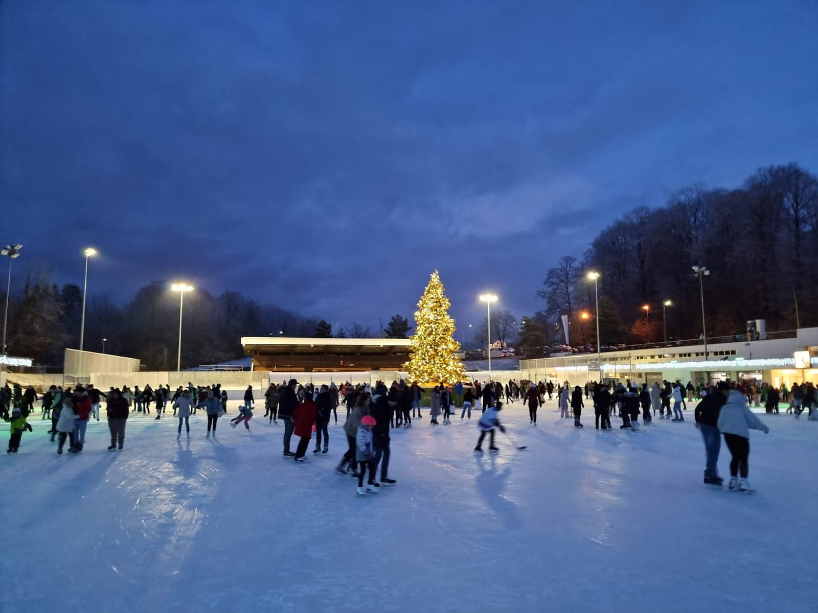 Ice rink Dolder Sports photo 5