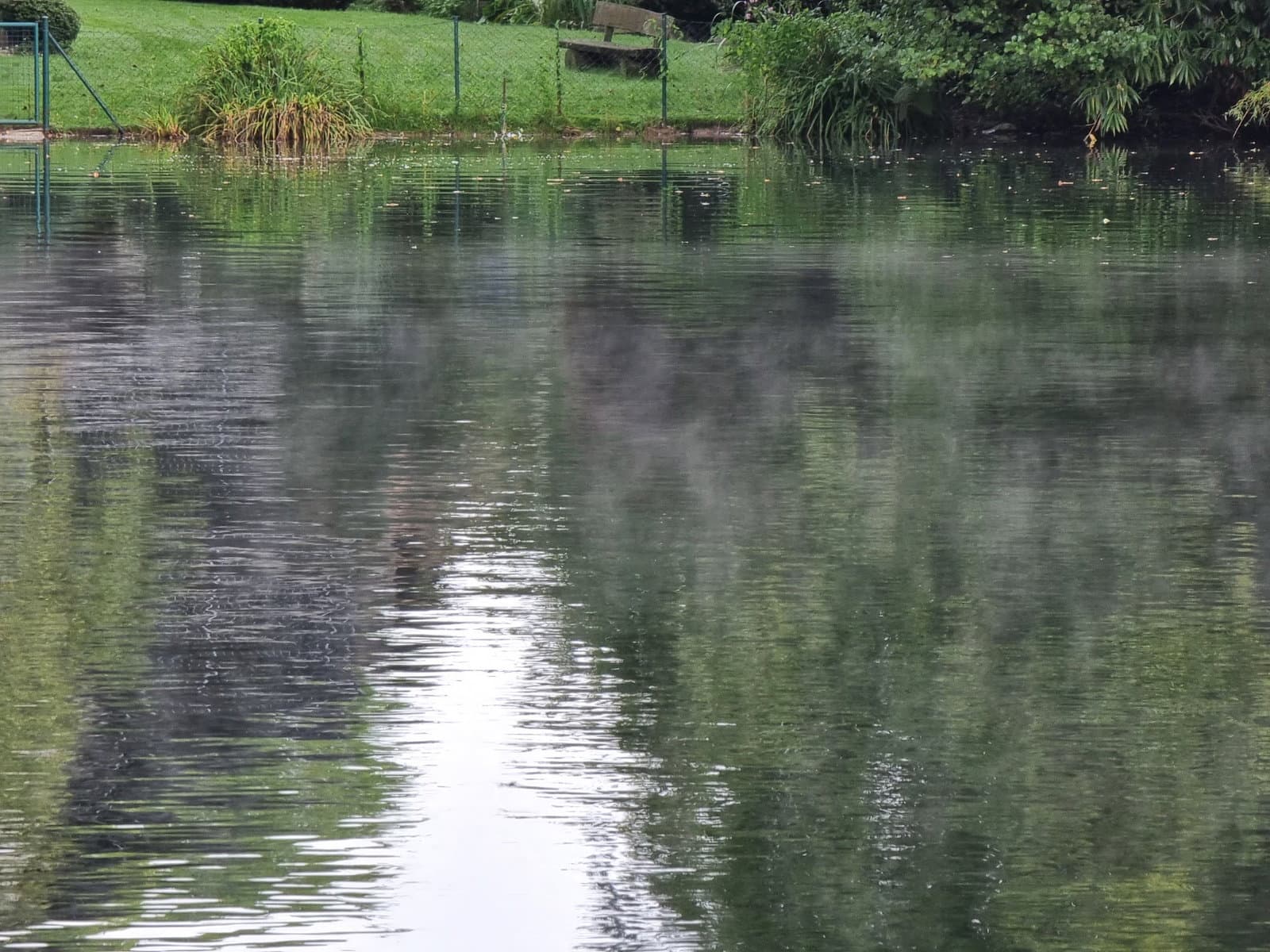 Städt. Forsthaus Wambachsee photo 5