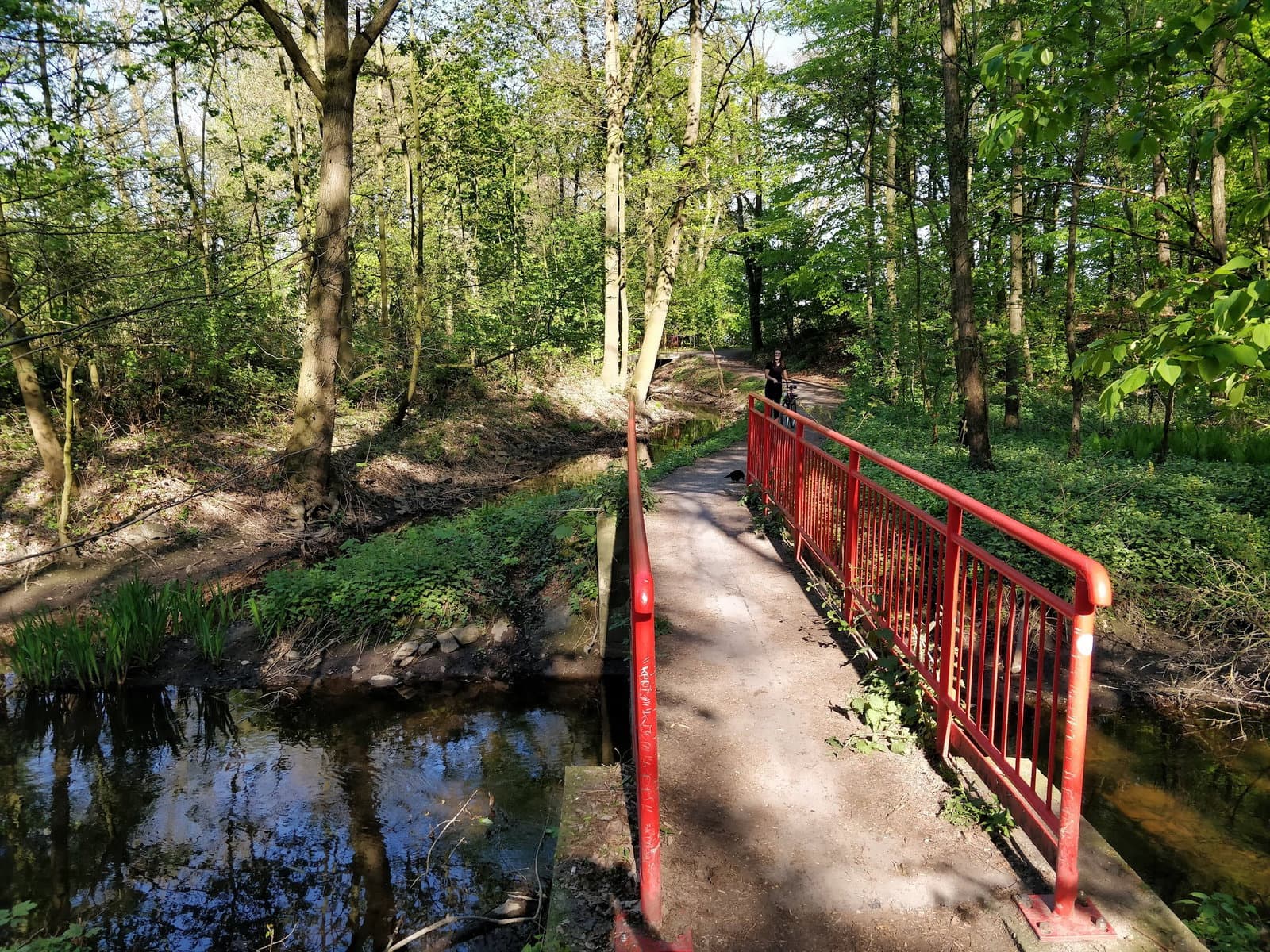 Städt. Forsthaus Wambachsee photo 4