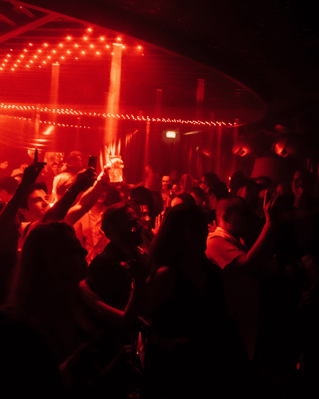 Selva Miami photo 1
