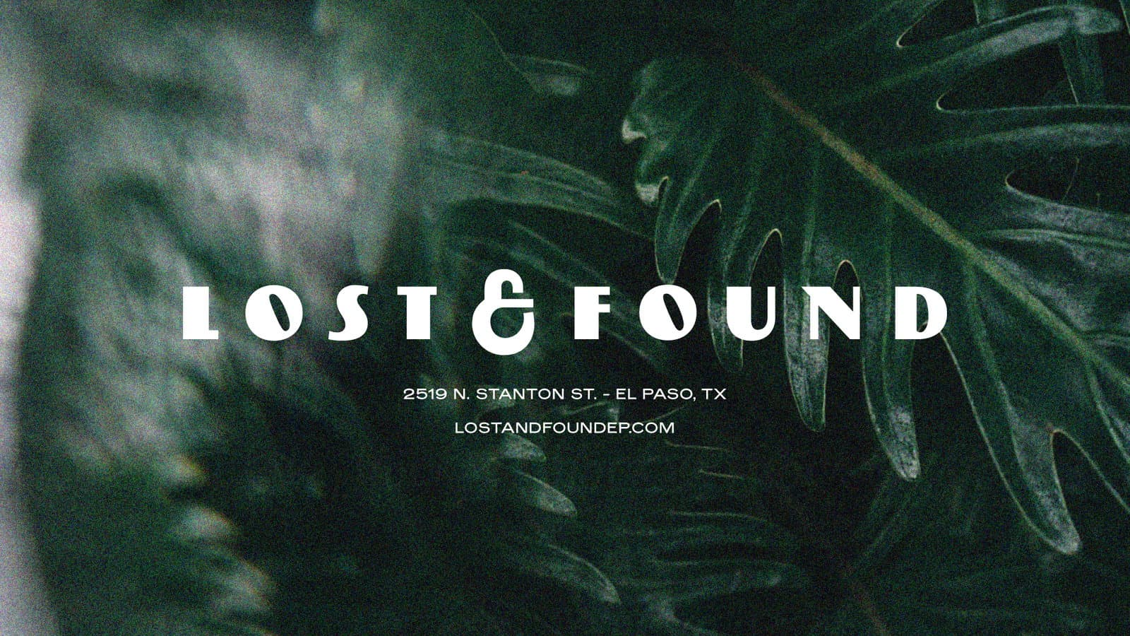 Lost & Found photo 1