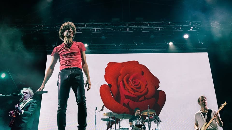 The Kooks - Delamere Forest event cover