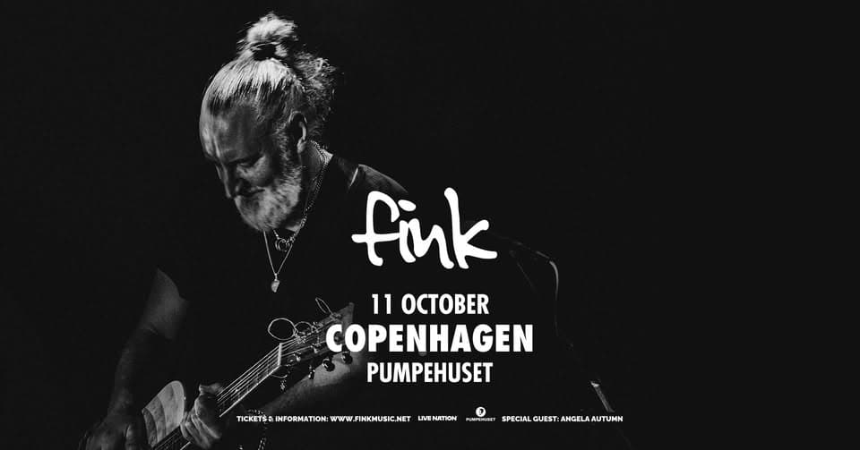 Fink event cover