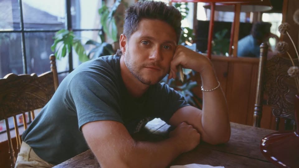 Niall Horan: Dinner Party Live On Tour event cover