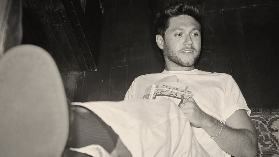 Niall Horan: Dinner Party Live On Tour event cover