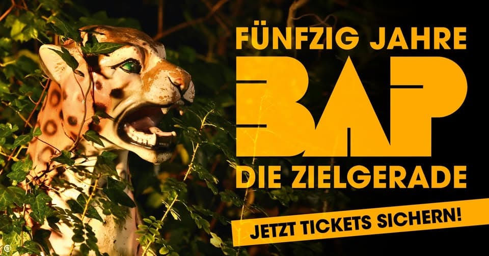BAP - Fünfzig Jahre - Die Zielgerade | Düsseldorf event cover