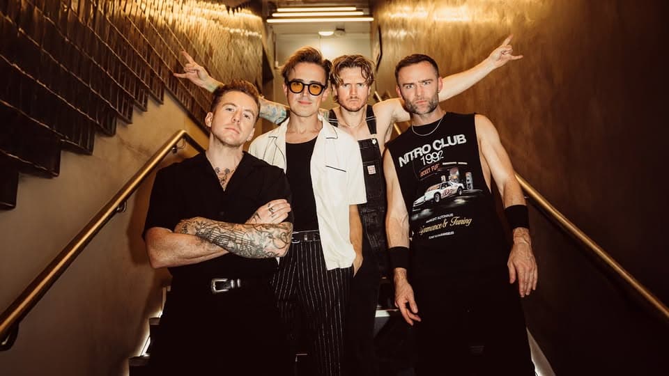 McFly - Cannock Chase Forest event cover