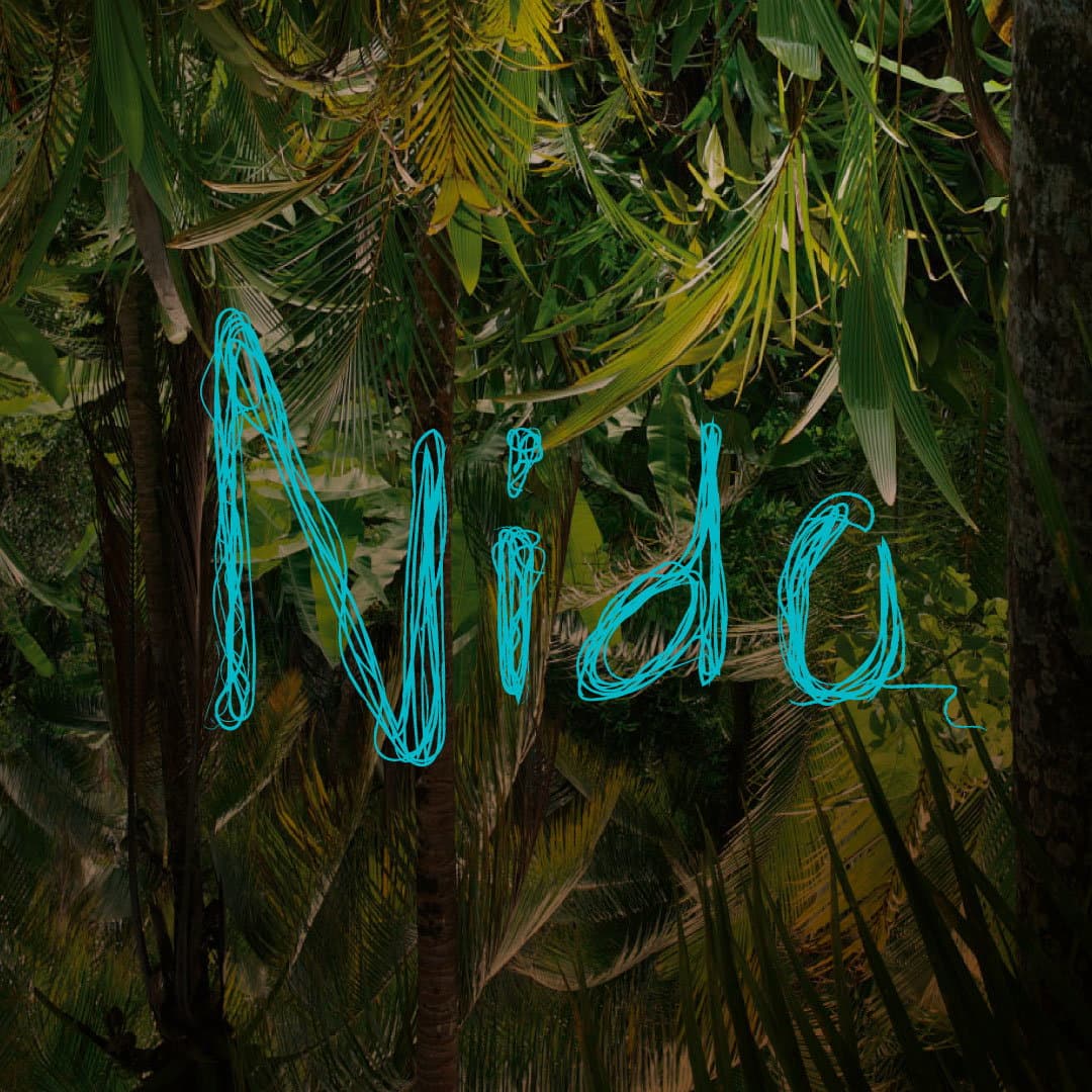 Nido event cover