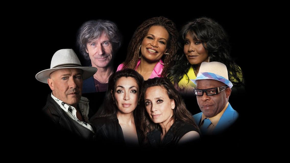 Nacht van de Nederpop XXL event cover