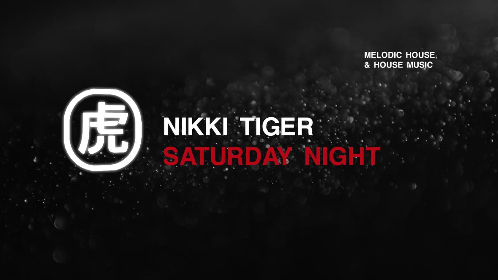 Nikki Tiger Saturday presents Noah James, Anoush & Linos event cover