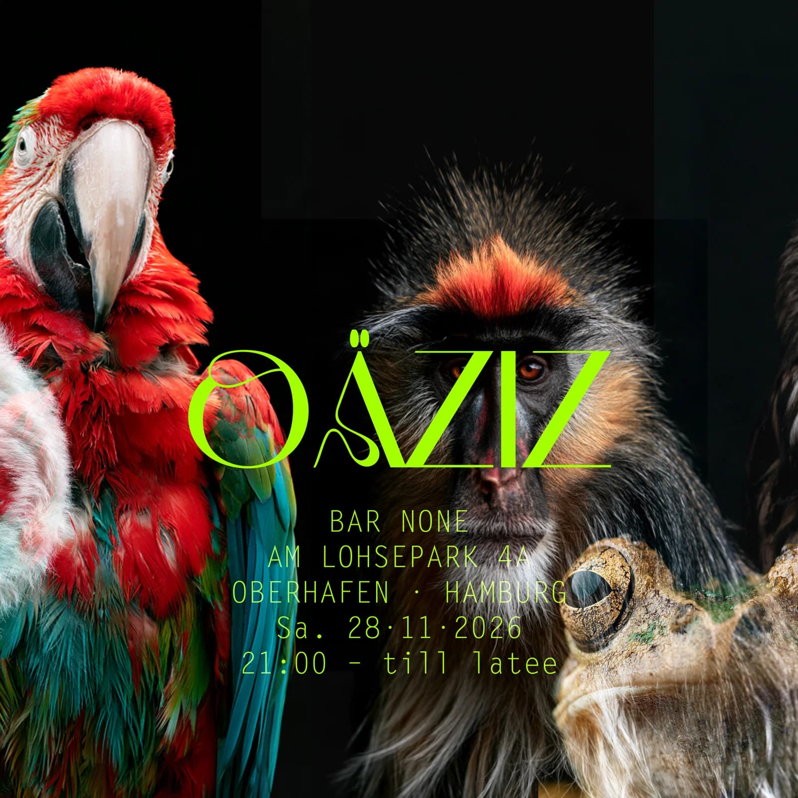 OÄZIZ event cover